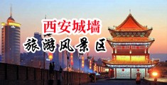大鸡吧想日逼逼视频中国陕西-西安城墙旅游风景区